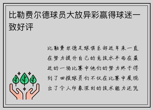 比勒费尔德球员大放异彩赢得球迷一致好评